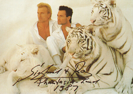 Siegfried & Roy mit 3 weißen Tigern und ihr Autogramm aus dem Jahr 1987